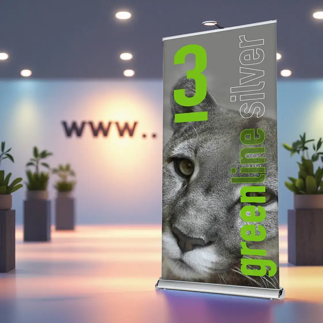 Rollup Display Greenline 3